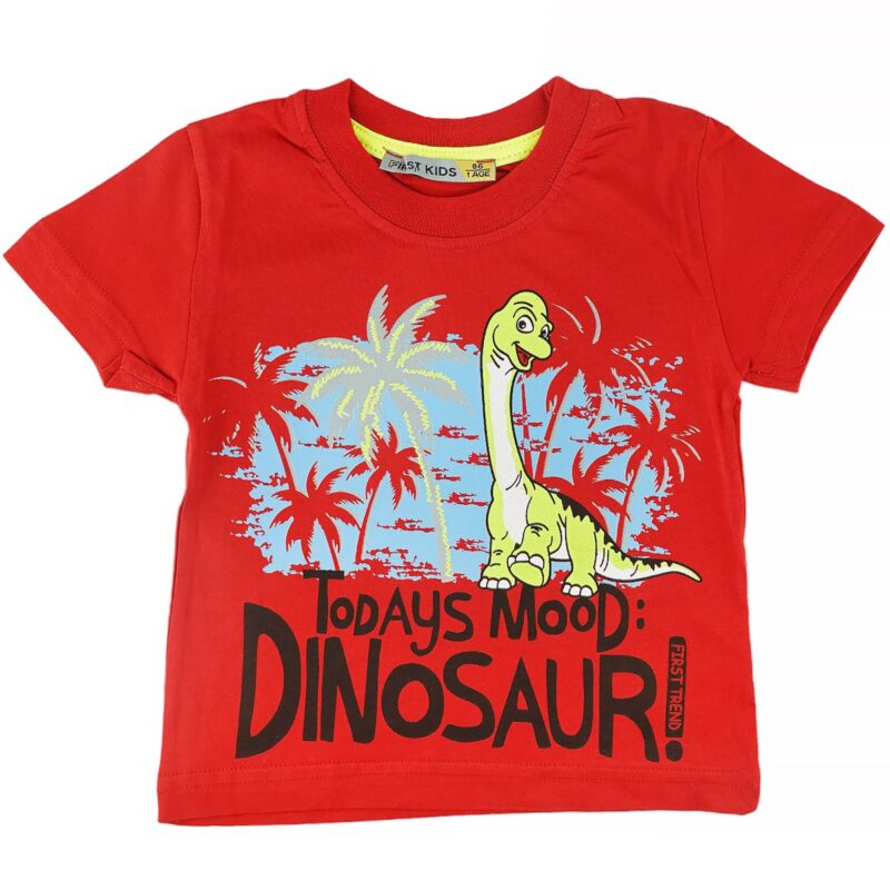 First Kids παιδική κοντομάνικη μπλούζα «Todays Red Mood: Dinosaur»