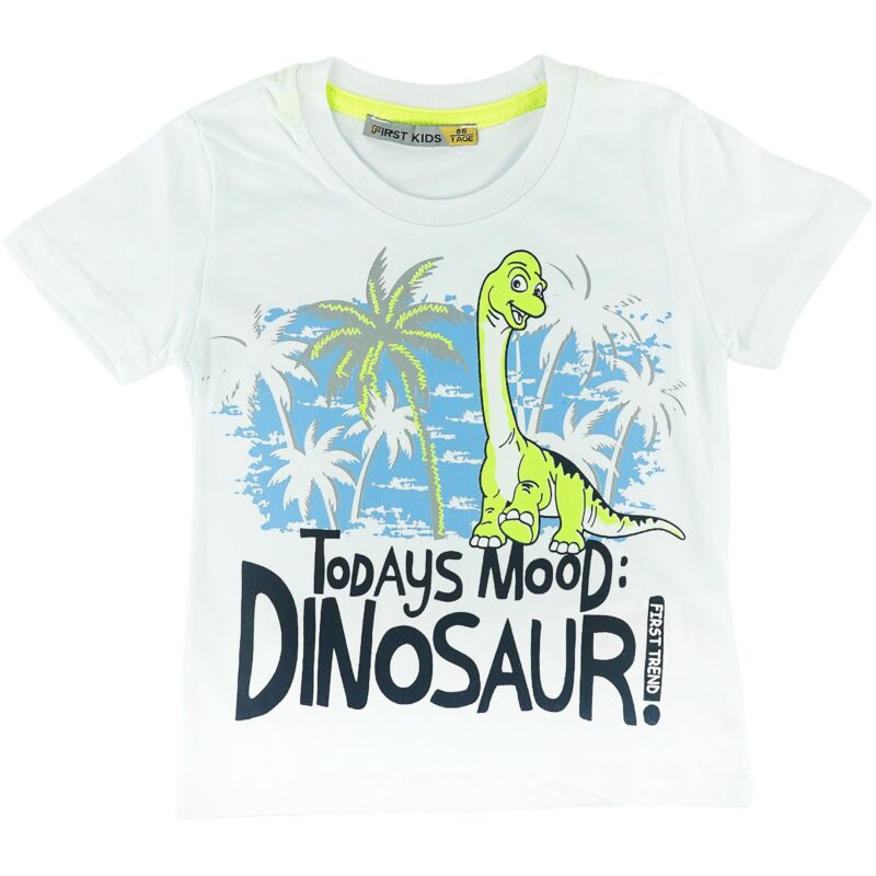 First Kids παιδική κοντομάνικη μπλούζα «Todays White Mood: Dinosaur»