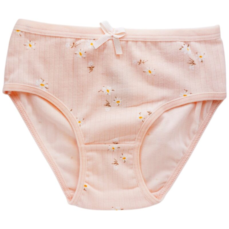Biyo Kids παιδικό βρακάκι «Pink Chamomiles»