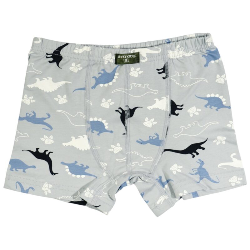 Biyo Kids μποξεράκι «Dino Paws»